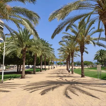 Alcotan 2 Modern With Sea View & Big Sunny Terrace